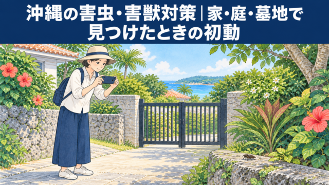 沖縄の害虫・害獣対策｜家・庭・墓地で見つけたときの初動